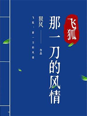飞狐一线