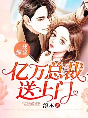 一夜惊喜总裁夜来袭免费阅读全文