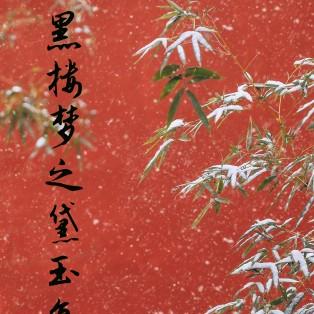 黑楼梦之黛玉复仇记免费阅读全文