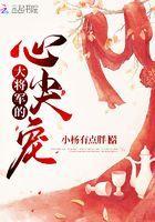 大将军的心尖宠实体书名