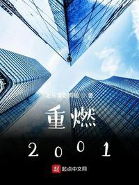 重燃2001免费阅读