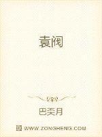 袁阀起点