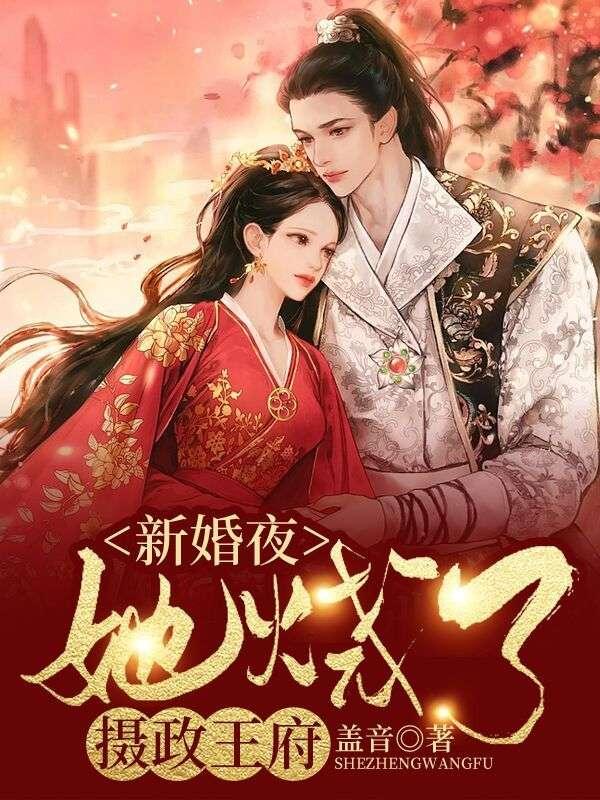 重生新婚夜烧了摄政王府