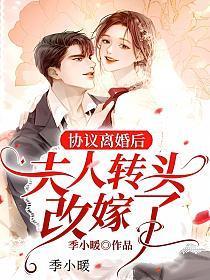 协议离婚后夫人转头改嫁了完整版