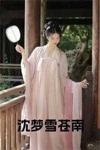 女主叫沈梦的现代