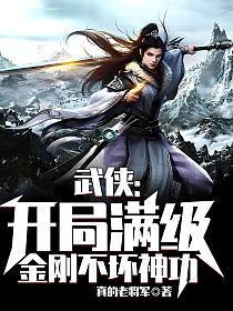 武侠开局满级金刚不坏神功陈凡TXT