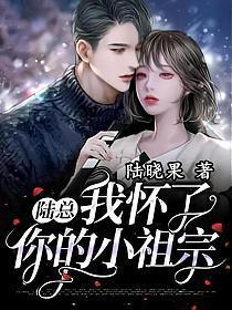 陆总我怀了你的小祖宗158集大结局