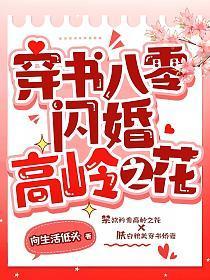 穿书八零闪婚高岭之花作者