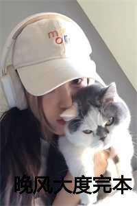 晚风免费阅读