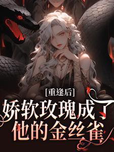 女主苏沅