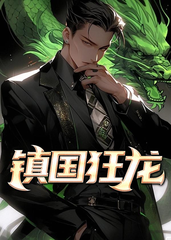 镇国狂龙08集精彩片段