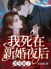 我死在新婚夜后渣男疯了苏菀陆时晏大结局
