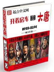 开着房车回大唐无弹窗