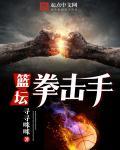 篮坛拳击手完美网