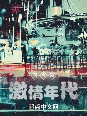 四合院激情年代TXT