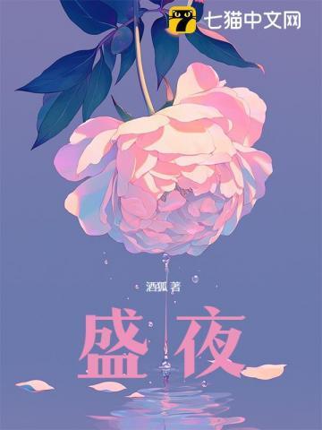 盛夜欢恋免费阅读