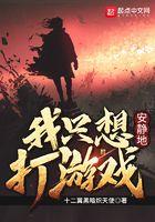 我只想安静地打游戏境界