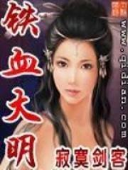 铁血大明 王不过霸