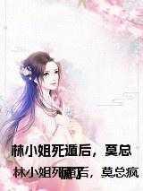 林小姐我复婚全文免费阅读