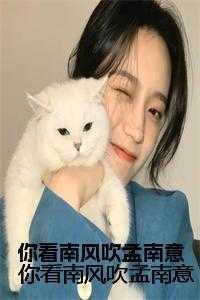 你看南风吹1v1