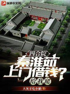 四合院娶秦京茹的