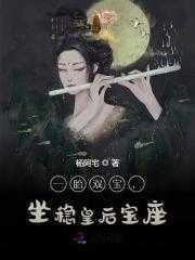 一胎双宝免费阅读