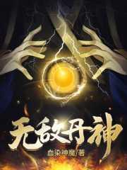 无敌丹神林枫免费阅读