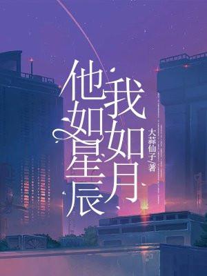 他如辰星闪烁免费阅读