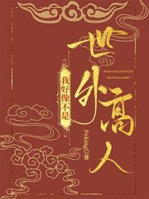 我好像不是世外高人glpeking