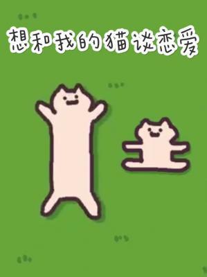 想和我的猫谈恋爱怎么办