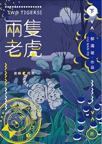 两只老虎跑得快