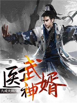 医武神婿李霄