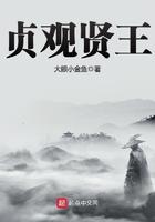贞观贤王女主角有几个