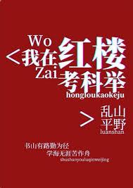 我在红楼考科举 乱山平野