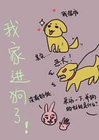 我们家来了一只狗