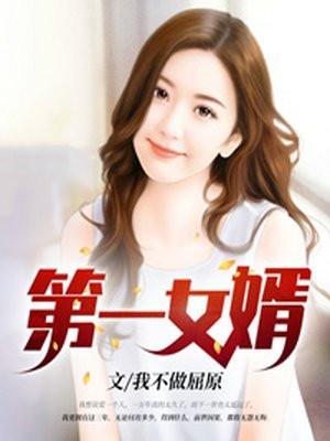 第一女婿过完一个轮回免费阅读
