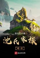 沈氏家族崛起地点在哪