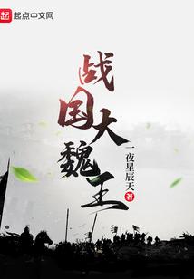 战国大魏王笔趣阁