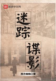 迷踪谍影免费观看完整版