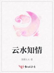 云水知音直播