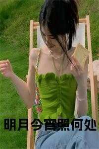 明月照尽古今愁