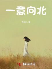 一心向北意思