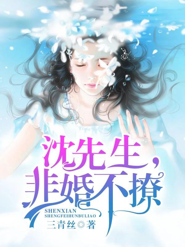 沈先生非婚不撩全文免费