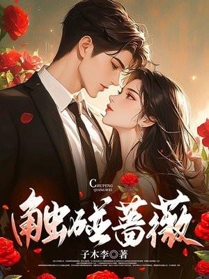 触碰蔷薇全文免费笔趣阁在线阅读