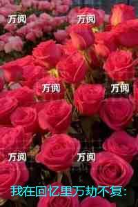 我在回忆里万劫不复全文后续结局