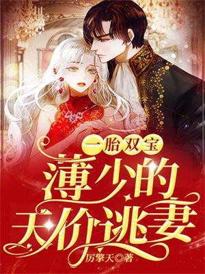 一胎俩宝薄少的天价逃妻