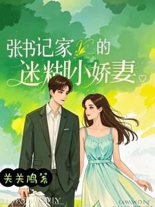 张书记掌