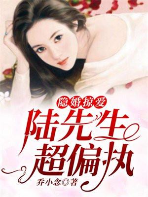 陆先生的隐婚密爱
